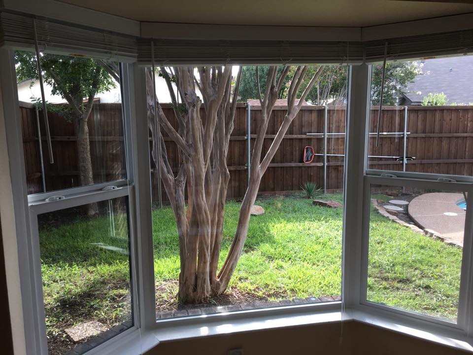 Worker installing a replacement window in a residential home